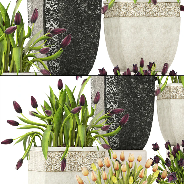 Collection of plants garden tulips 195. Flowers, pot, flowerpot, tulip, flowerbed, landscaping, garden — Descargar