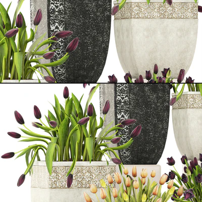 Collection of plants garden tulips 195. Flowers, pot, flowerpot, tulip, flowerbed, landscaping, garden — Ver 3