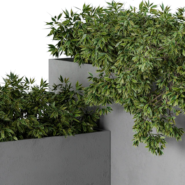 outdoor Plants Concrete Box - Set 43 — Скачать