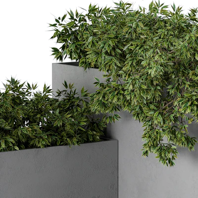outdoor Plants Concrete Box - Set 43 — Вид 4
