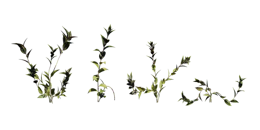 inchplant 001 — Скачать