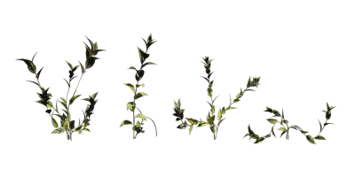 inchplant 001 — Скачать