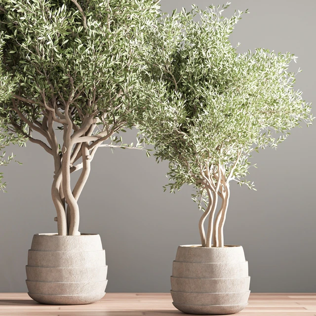 indoor plant stand 39 — Descargar