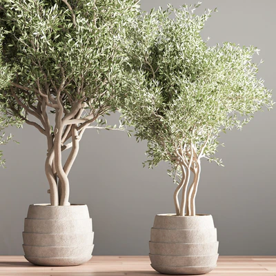 indoor plant stand 39 — Ver 4