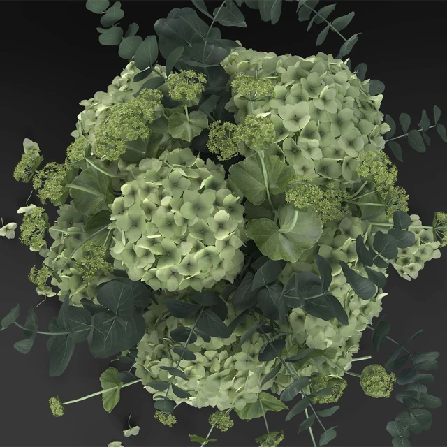 Hydrangea — Descargar