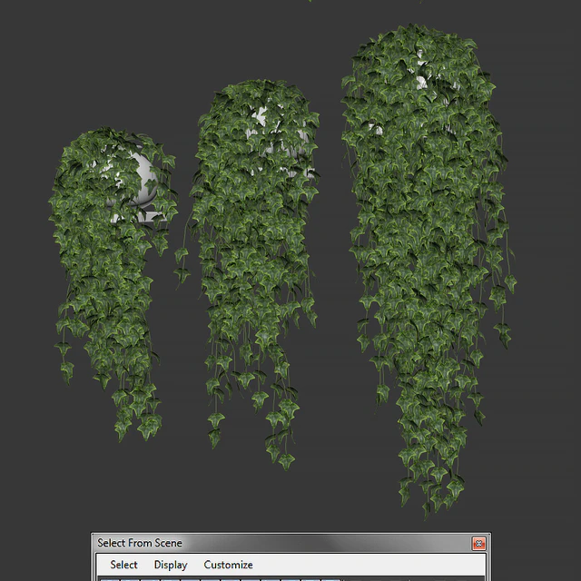 Ivy in pot v4. 3 products — Descargar