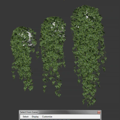 Ivy in pot v4. 3 products — Ver 2