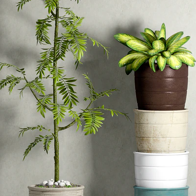 PLANT-41 — Вид 2