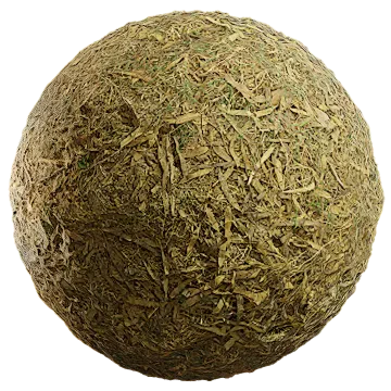 plant foliage 001 — Скачать