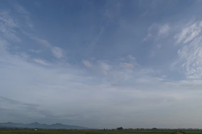 backplate 201 — download