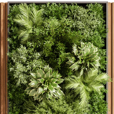 Wooden planks and vertical garden 08 — Вид 6