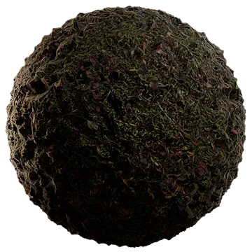 moist lakebed growth 004 — Descargar