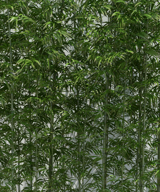 Bamboo 2 — Descargar