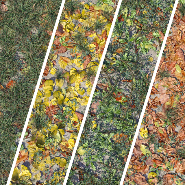 foliage — Descargar