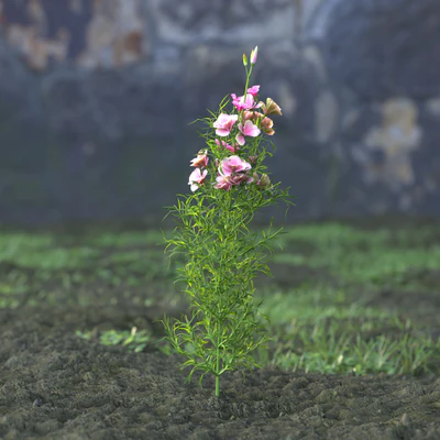 garden flowers 051 — Descargar