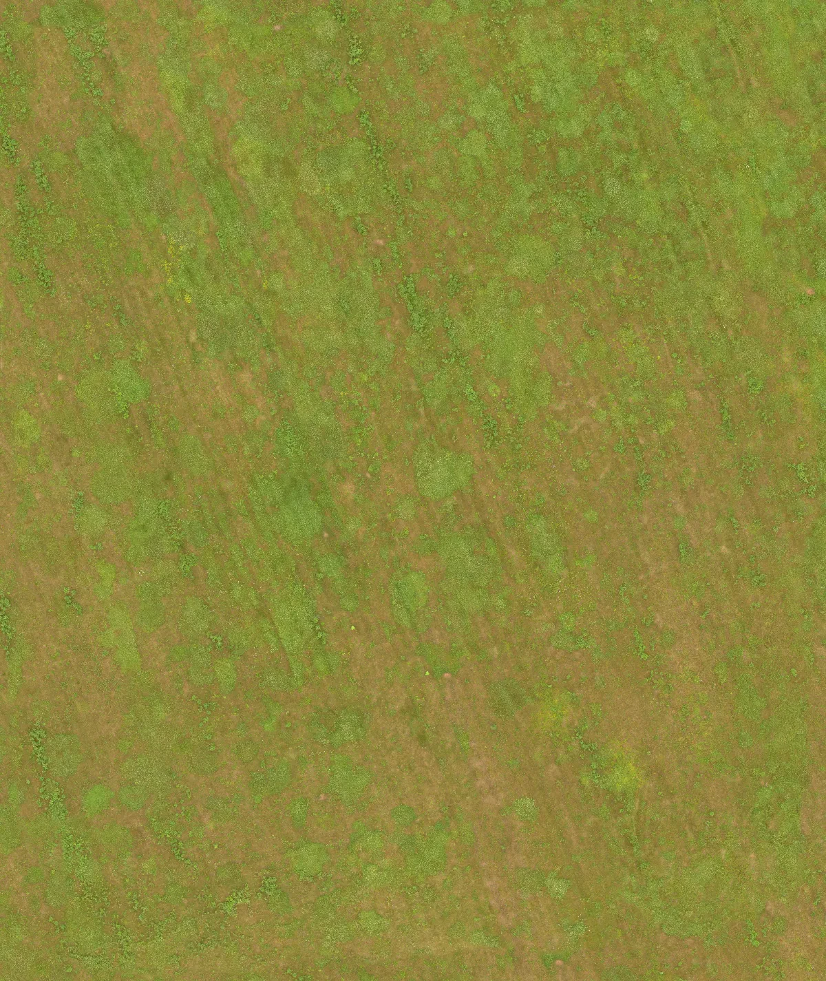 field summer 028 — Descargar