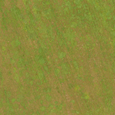 field summer 028 — Descargar