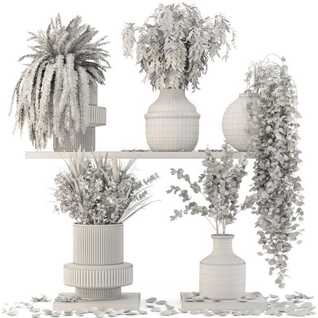 Collection Indoor Plants in Glass Pots - Set 695 — Descargar