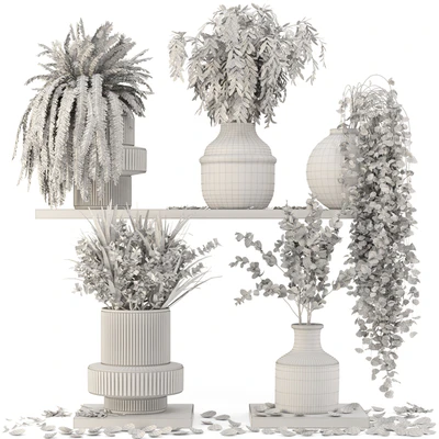 Collection Indoor Plants in Glass Pots - Set 695 — Ver 5
