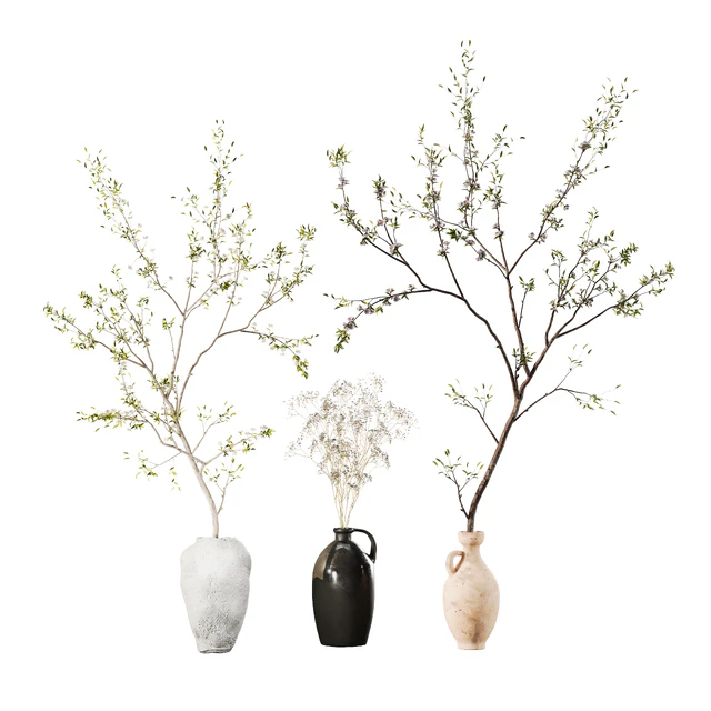 Indoor Plant 01 — Descargar