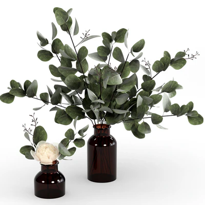 Bouquets of eucalyptus. — Ver 1