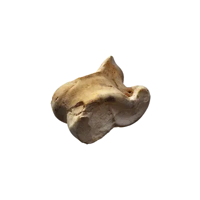 knucklebone 001 — Descargar