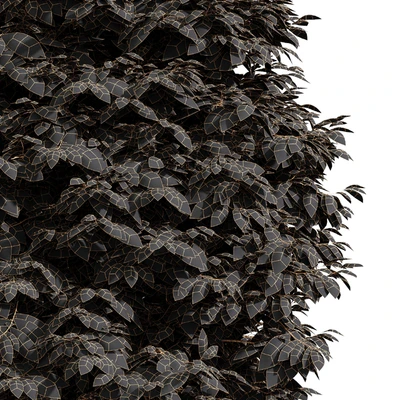 Real Tree Metasequoia glyptostroboides — Ver 4