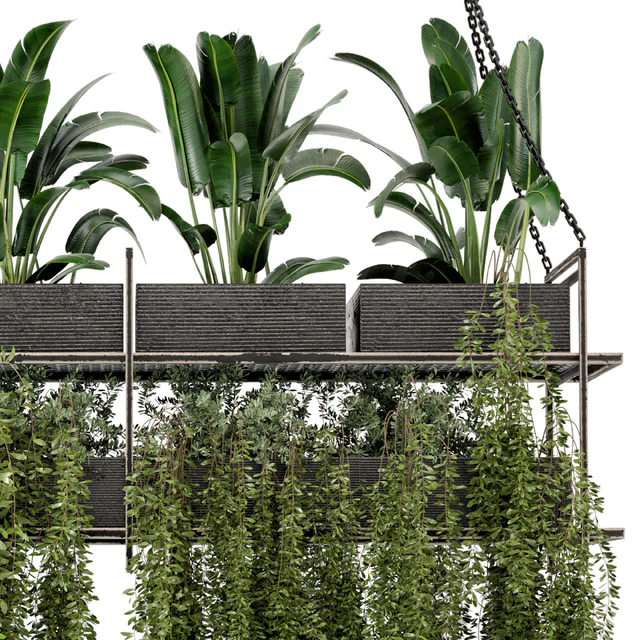 Indoor Hanging Plants in Metal Box - Set 269 — Descargar