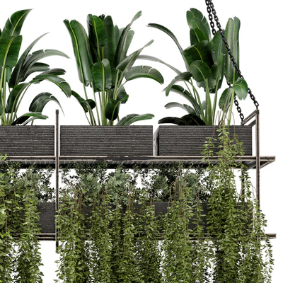 Indoor Hanging Plants in Metal Box - Set 269 — Ver 5