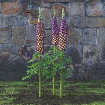 garden flowers 048 — Descargar