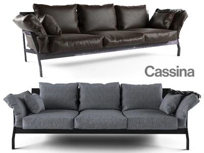 Cassina eloro — Вид 1