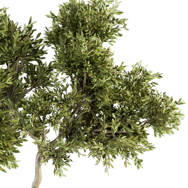 Outdoor Plants tree in Metal Pot - Set 134 — Descargar
