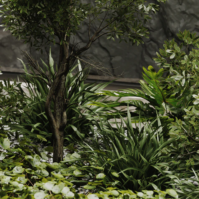 indoor plant set 50 — Descargar