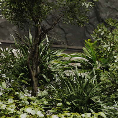 indoor plant set 50 — Ver 6