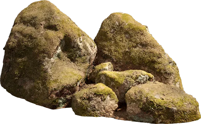 nordic forest cluster rock medium 003 — Descargar