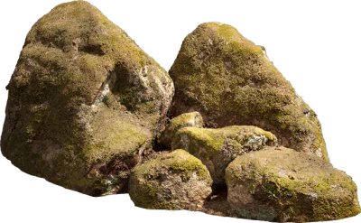 nordic forest cluster rock medium 003 — Descargar