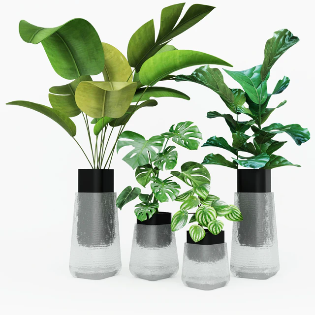 Plant collection — Descargar