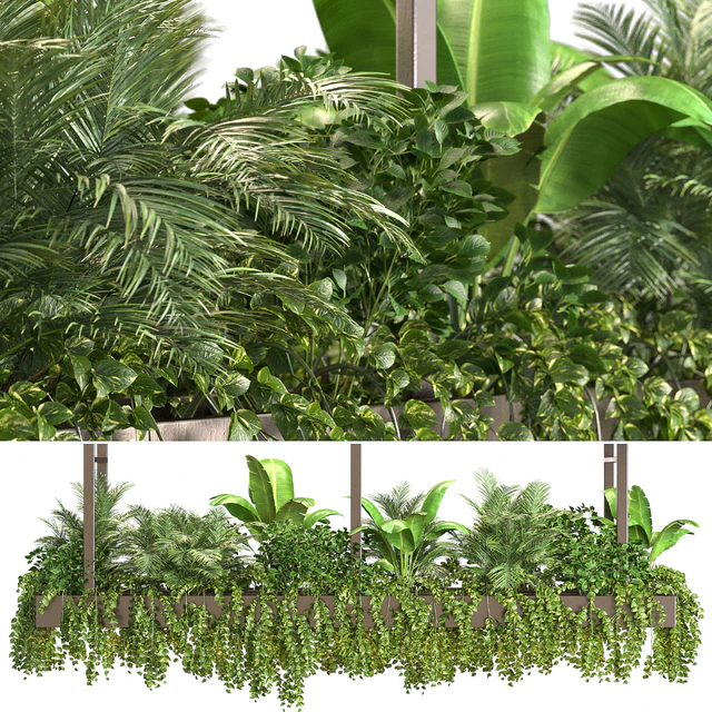 Indoor Plant Vol2 - hanging pot Vol2 — Descargar