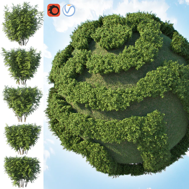 Set of 2 bushes — Descargar