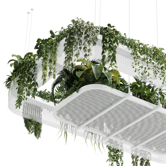 Hanging plants - indoor plant 323 corona — Descargar