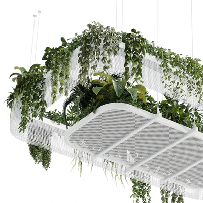 Hanging plants - indoor plant 323 corona — Ver 5