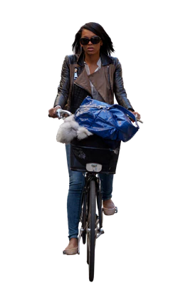 bicycles 027 — download