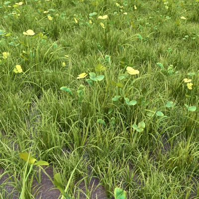 grass for lanscape 06 — Ver 4