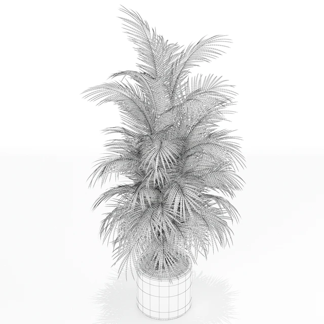Plants collection 176 — Descargar
