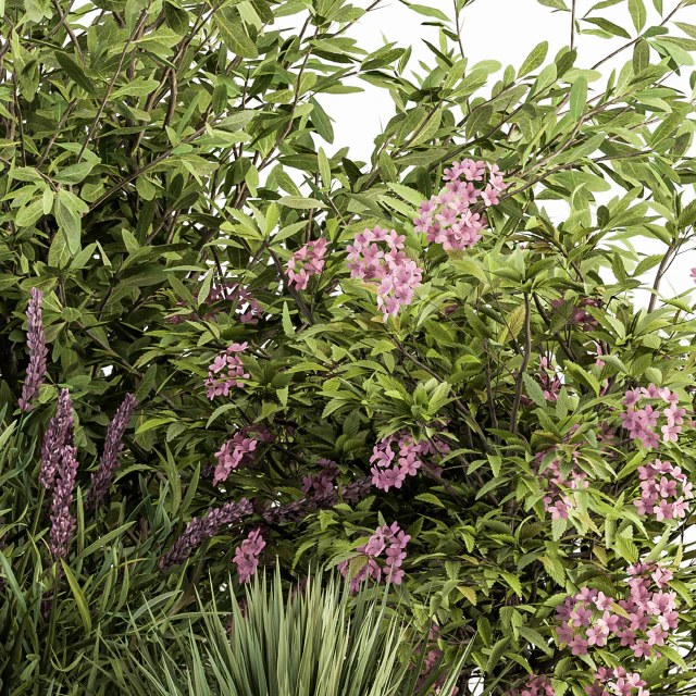 Mixed Plant Bush Green and Purple - Bush Set 50 — Descargar