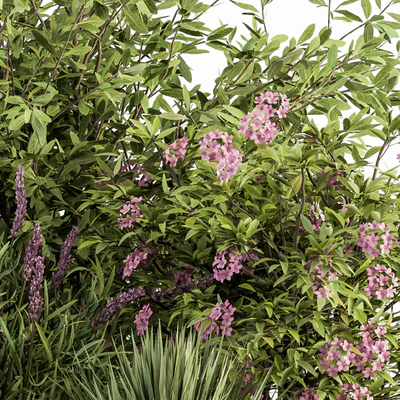 Mixed Plant Bush Green and Purple - Bush Set 50 — Ver 5
