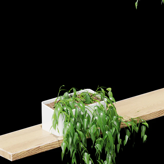 Potted plants on the shelves v2 — Descargar