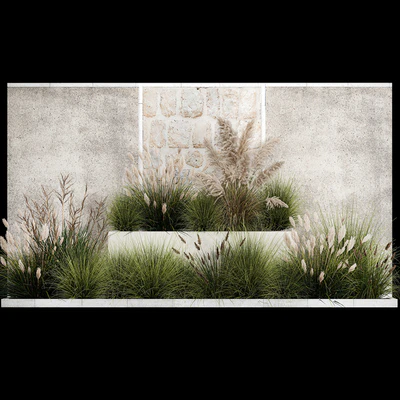 Collection of flowerbed plants and bushes with grass for landscaping, pampas grass, cortaderia and white reeds. 1126. — Ver 6