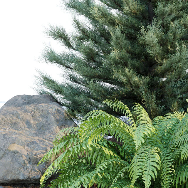 outdoor garden plants collection vol 69 — Скачать