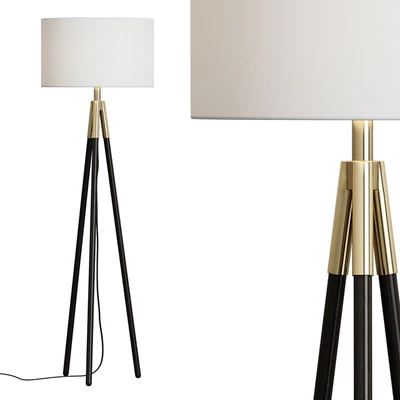 Crate & Barrel / Hyde Brass and Bronze Metal Tripod Floor Lamp — Ver 1